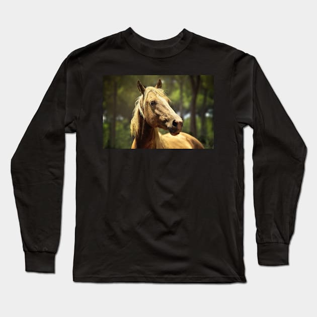 Horse in Sun Spot Long Sleeve T-Shirt by kawaii_shop